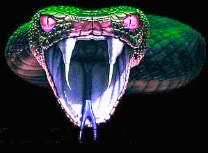 djcobra